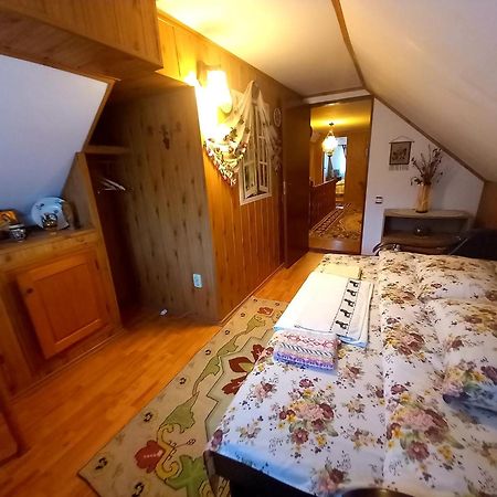 Apartament Edelweiss Ilinca Zărneşti Zewnętrze zdjęcie