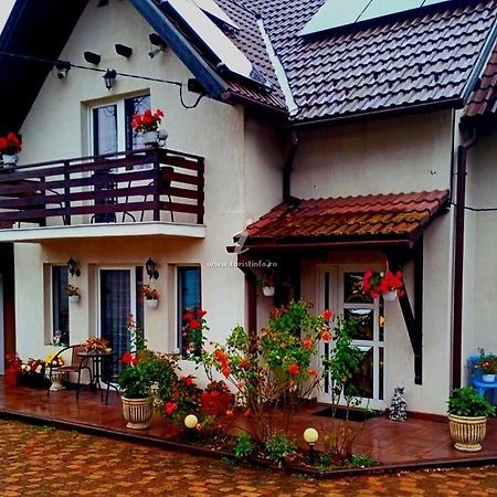 Apartament Edelweiss Ilinca Zărneşti Zewnętrze zdjęcie