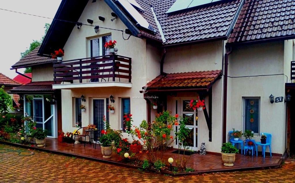 Apartament Edelweiss Ilinca Zărneşti Zewnętrze zdjęcie
