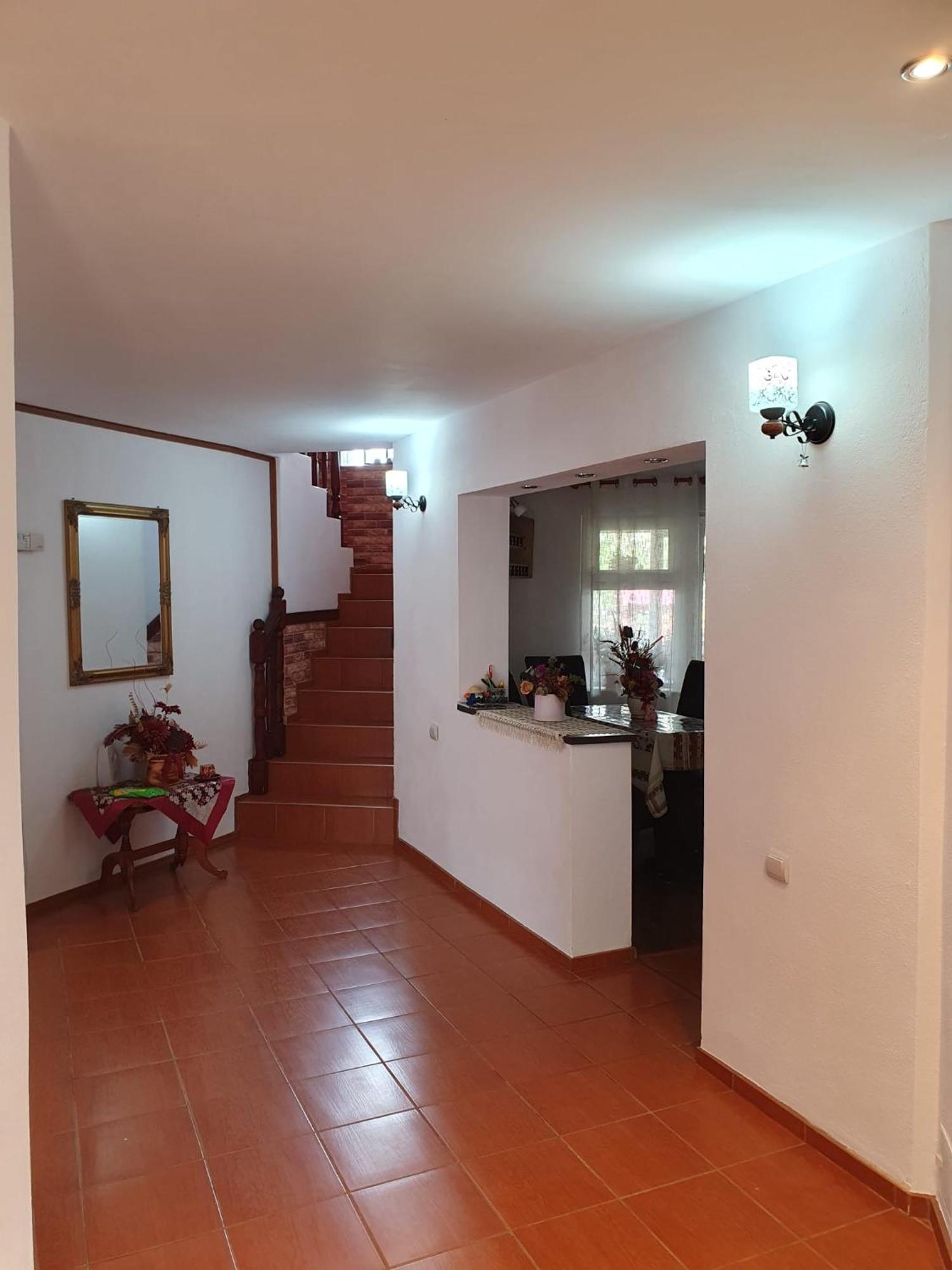 Apartament Edelweiss Ilinca Zărneşti Zewnętrze zdjęcie