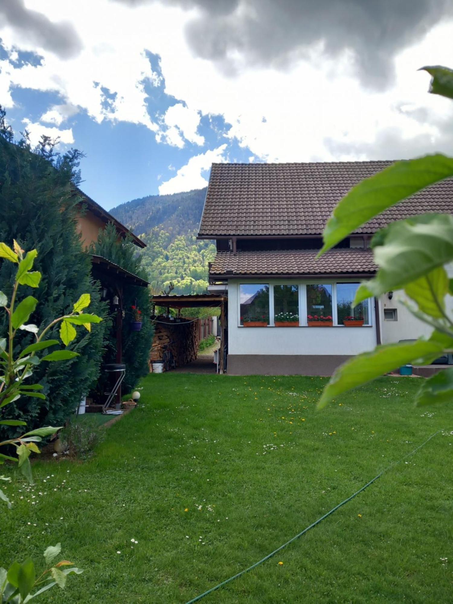 Apartament Edelweiss Ilinca Zărneşti Zewnętrze zdjęcie